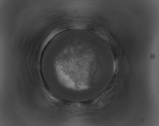 X0000091200195200708301607