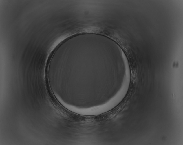 X0000091200196200708301607