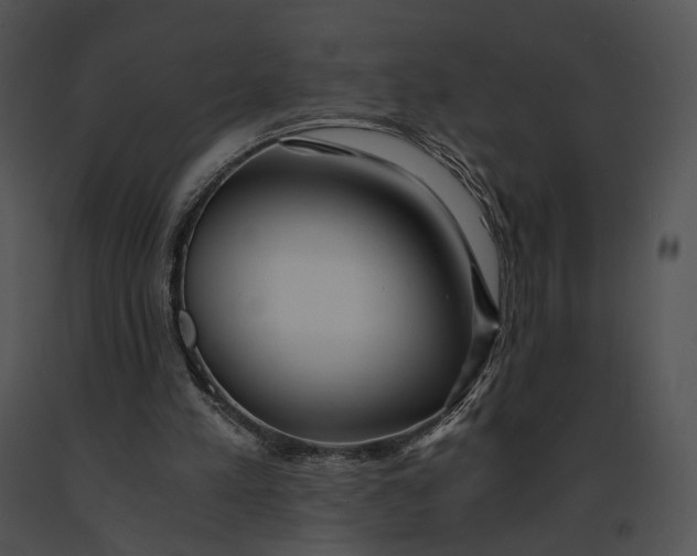 X0000091200197200708301607