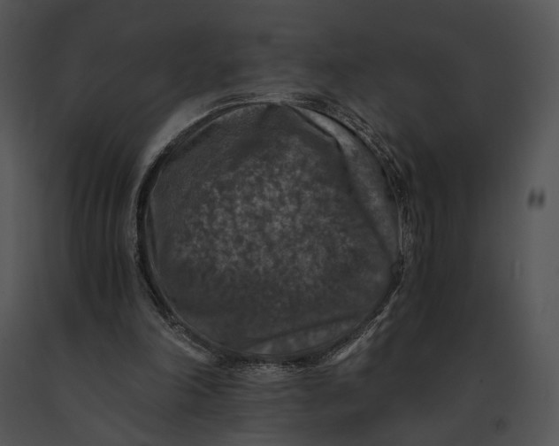 X0000091200198200708301607