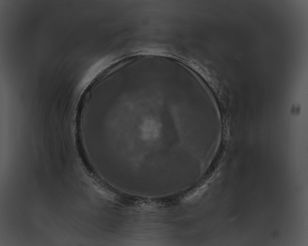 X0000091200199200708301607