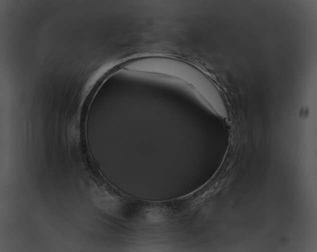 X0000091200200200708301607