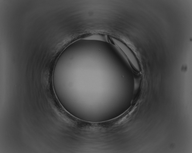 X0000091200201200708301607