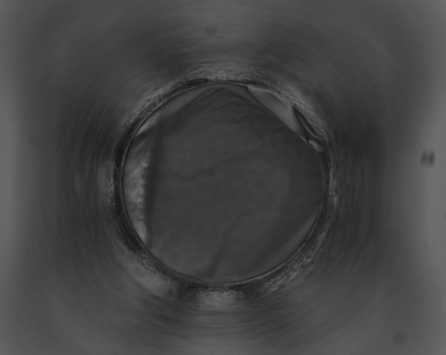 X0000091200202200708301607