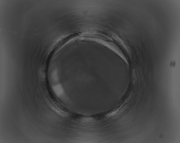 X0000091200203200708301607