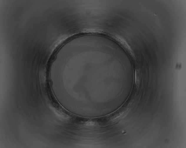 X0000091200204200708301607