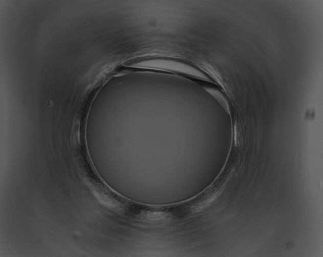 X0000091200205200708301607