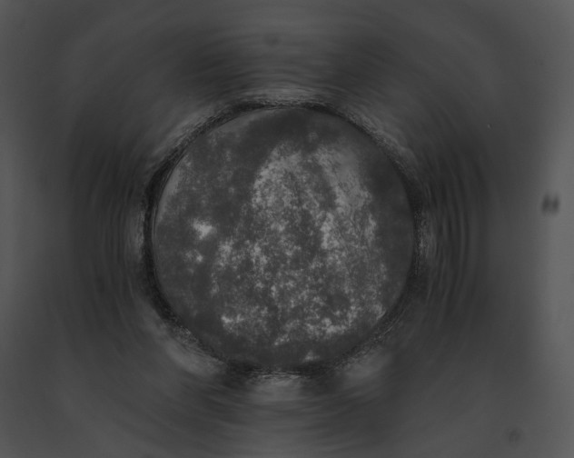 X0000091200206200708301607