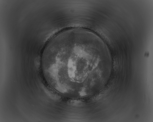 X0000091200208200708301607