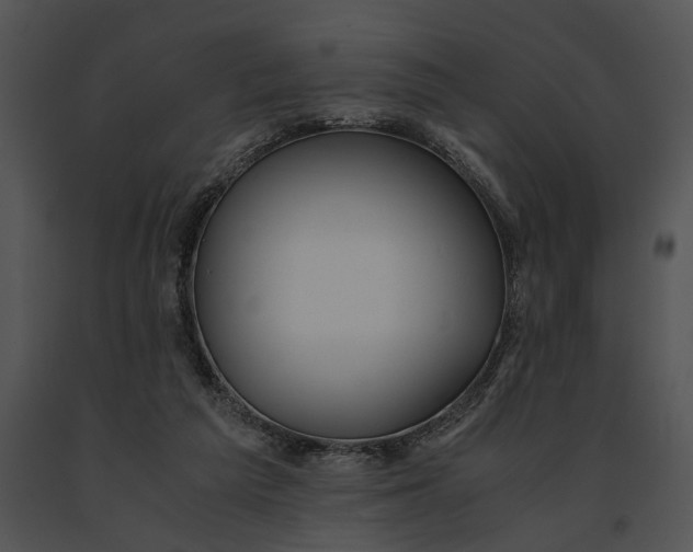 X0000091200209200708301607
