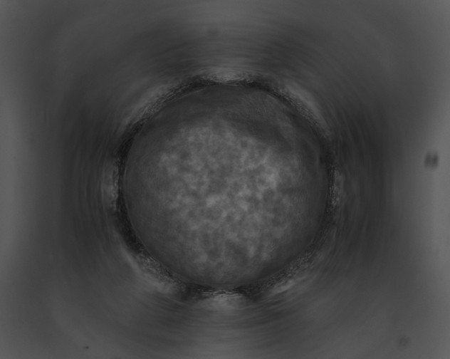 X0000091200210200708301607