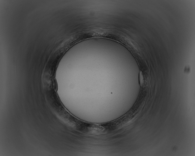 X0000091200215200708301607