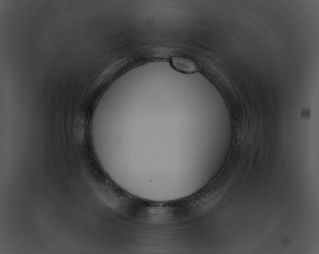 X0000091200216200708301607