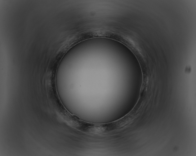 X0000091200217200708301607