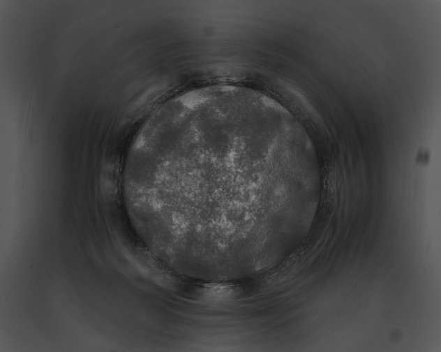 X0000091200218200708301607