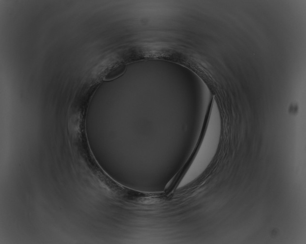 X0000091200219200708301607