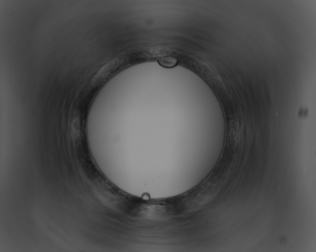 X0000091200220200708301607