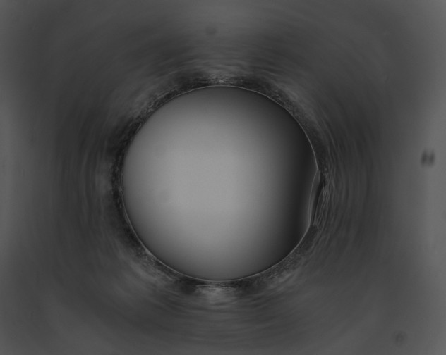 X0000091200221200708301607