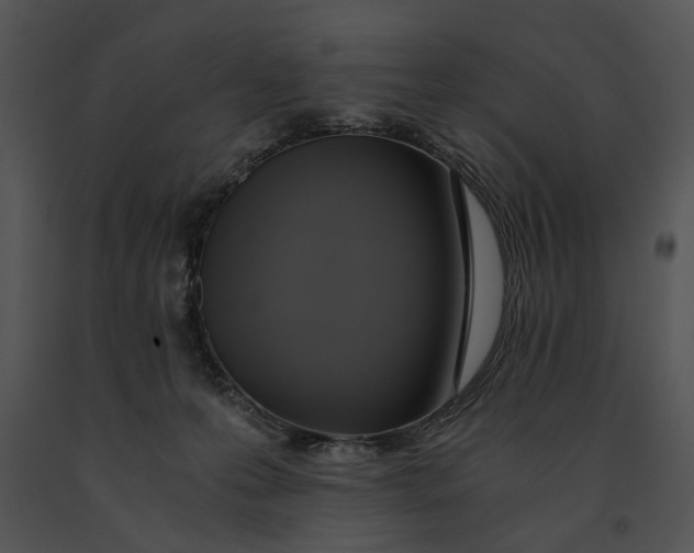 X0000091200223200708301607