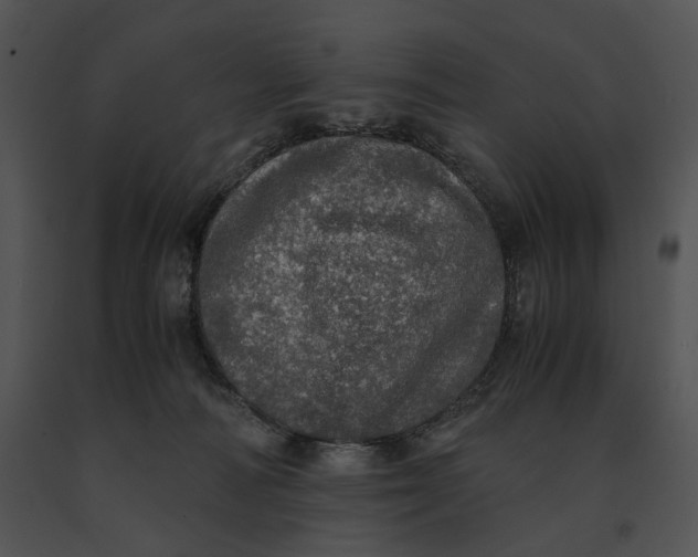 X0000091200226200708301607