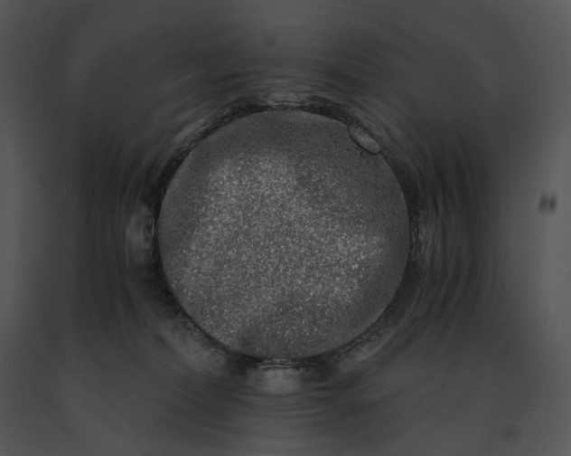 X0000091200228200708301607