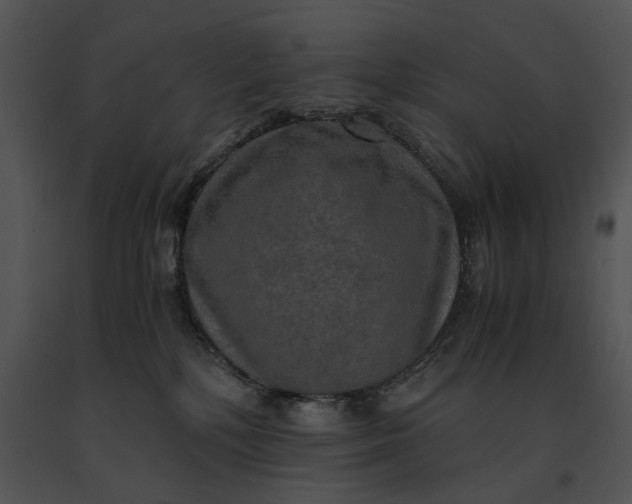 X0000091200232200708301607