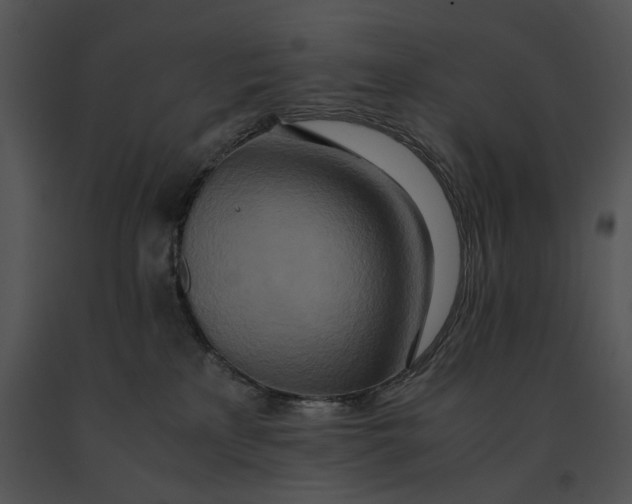 X0000091200233200708301607