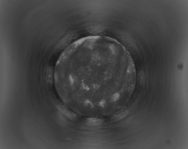 X0000091200234200708301607