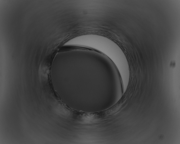 X0000091200235200708301607