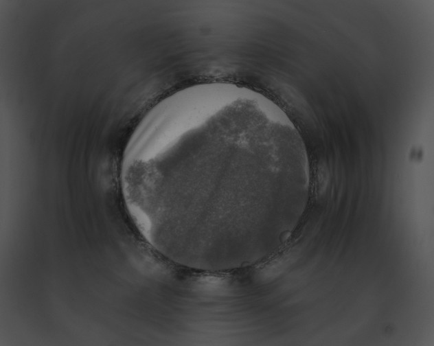 X0000091200236200708301607