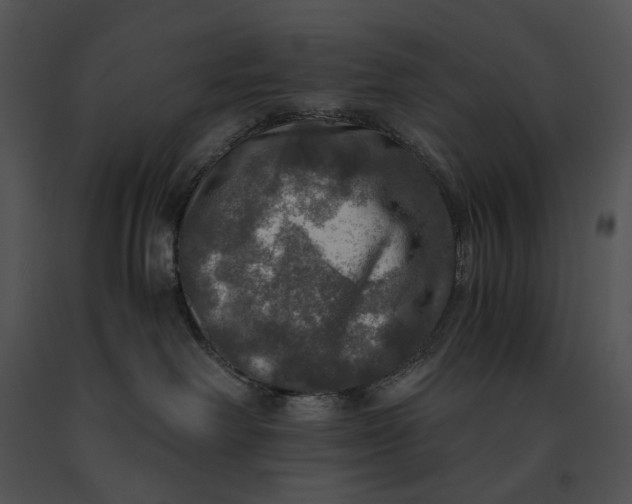 X0000091200238200708301607