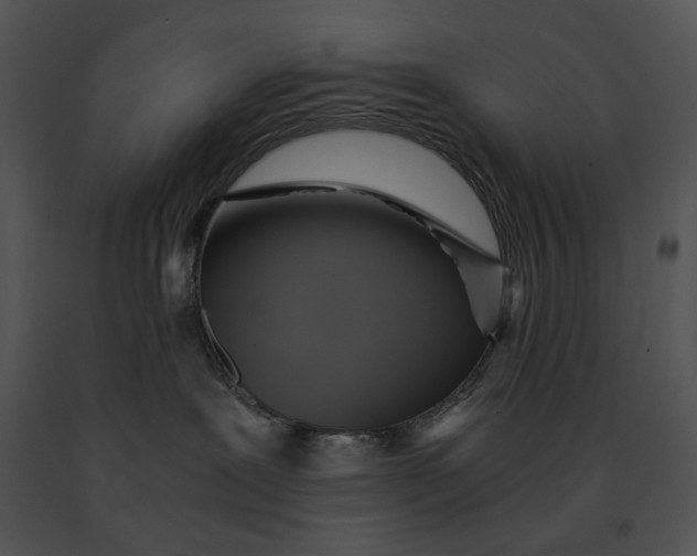 X0000091200239200708301607