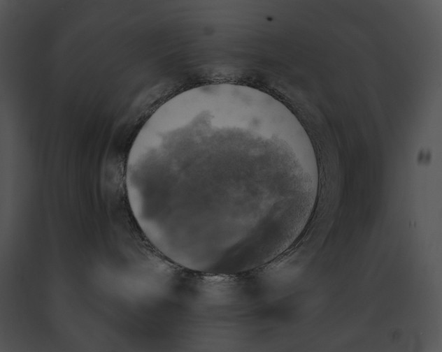 X0000091200240200708301607