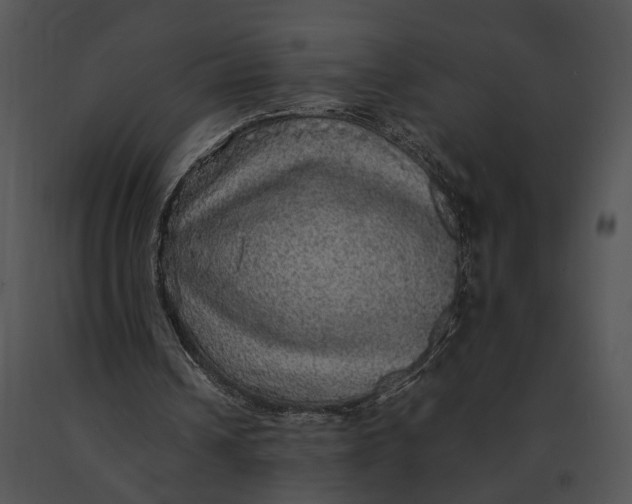 X0000091200242200708301606