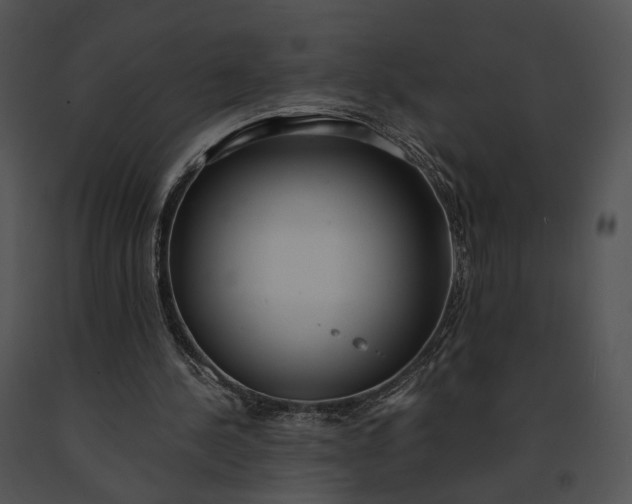 X0000091200244200708301606