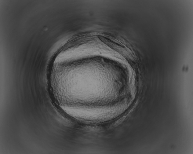 X0000091200245200708301606