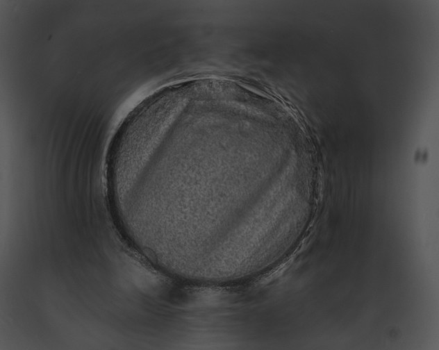 X0000091200246200708301606