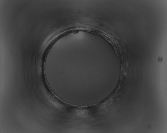 X0000091200247200708301606