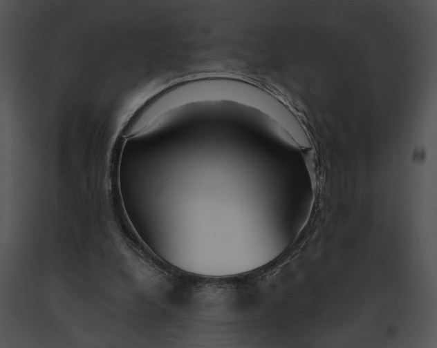 X0000091200248200708301606