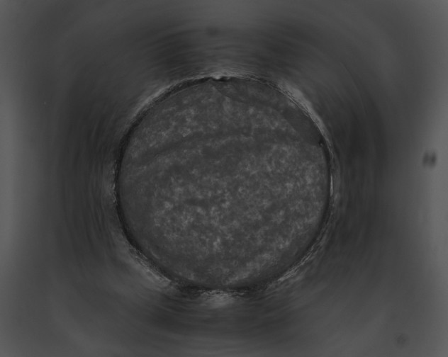 X0000091200249200708301606