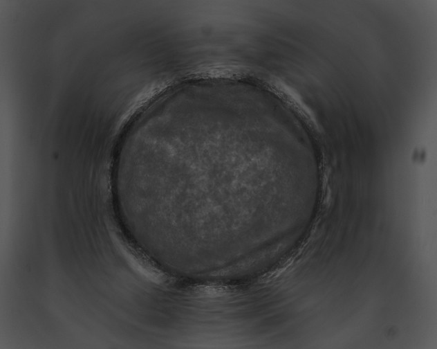 X0000091200250200708301606