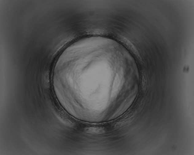 X0000091200251200708301606