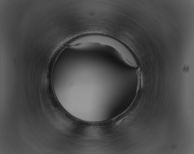 X0000091200252200708301606