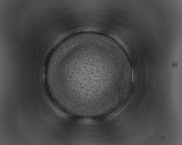 X0000091200253200708301606