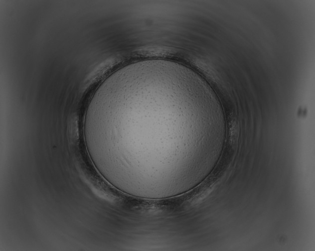 X0000091200254200708301606