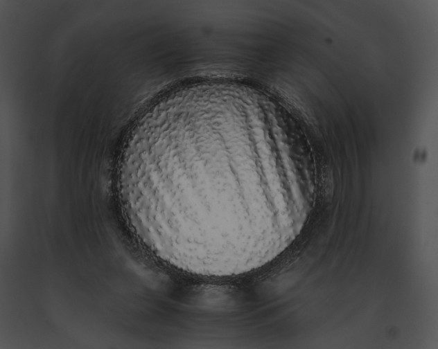 X0000091200255200708301606