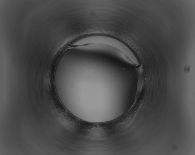 X0000091200256200708301606