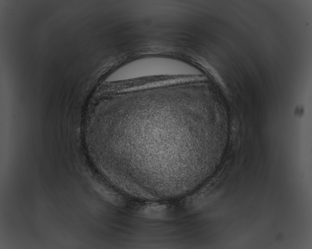 X0000091200257200708301606