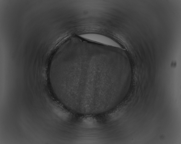 X0000091200258200708301606