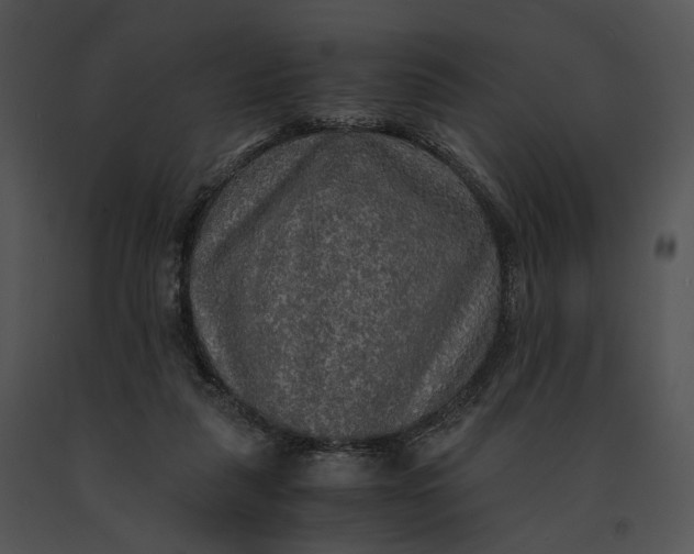 X0000091200259200708301606